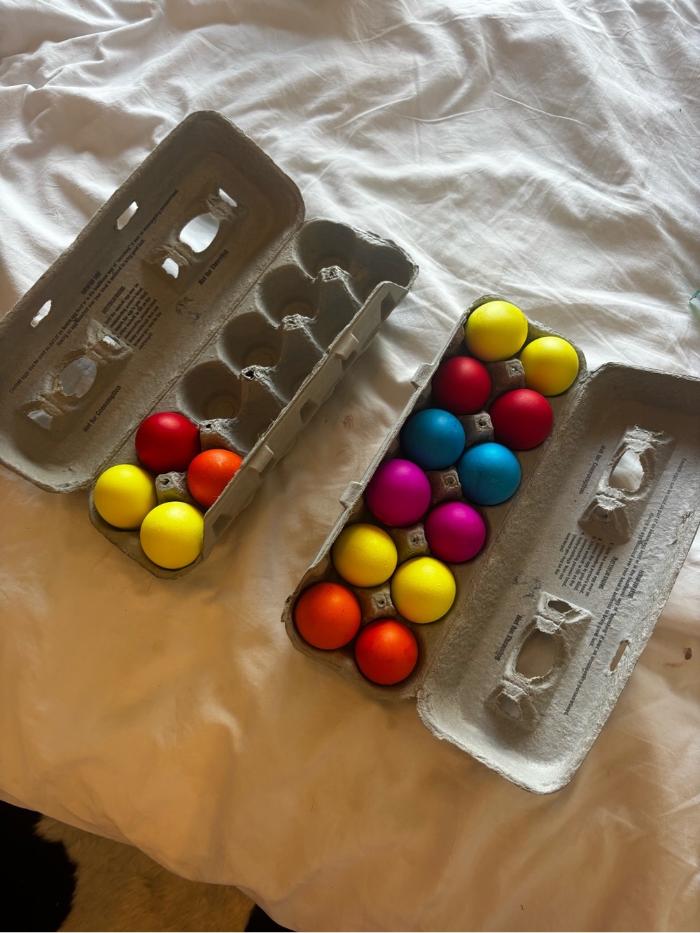 Colorful Egg confetti eggs